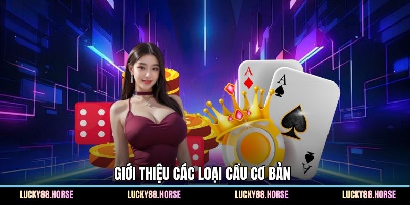 Giới thiệu các loại cầu cơ bản